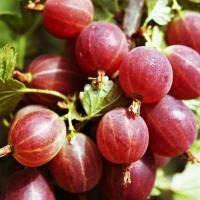 42dc79c3-1b88-11f0-8918-246e9611e8f6-1