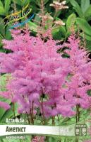 23eb59e0-3dac-11df-a2cf-00235435134b-1