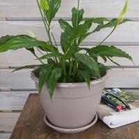 bc51bdcf-5672-11ed-aea3-001e673ebdea-1