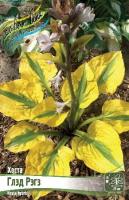 cfa0b551-72be-11ec-8bcd-005056c00008-1