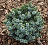 42b60250-d128-11f0-891e-246e9611e8f6-1