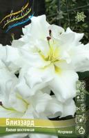 9056d281-6f8f-11ec-8bcd-005056c00008-1