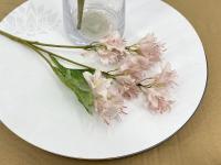 47381b43-5a5f-11f0-891b-246e9611e8f7-1