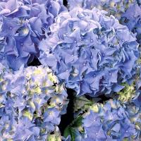 b78f765d-df6f-11e4-ab27-001e673ebdea-1