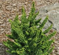 0c20aaaa-d40d-11f0-891e-246e9611e8f6-1