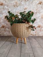 07cc45a7-da80-11f0-891e-246e9611e8f6-1