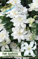 372e41b6-3632-11eb-b90a-005056c00008-1