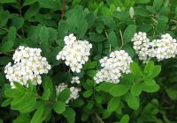 ae0d3d6f-113a-11f0-8918-246e9611e8f6-1