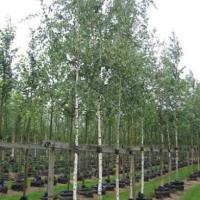 a98fbcf6-ece0-11ee-890b-246e9611e8f5-1