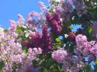 6e459591-326d-11f0-8918-246e9611e8f6-1