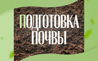 Как подготовить почву к посадке семян?