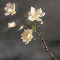 d2427efa-5a60-11f0-891b-246e9611e8f7-1