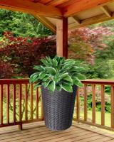 ea128afe-df16-11f0-891e-246e9611e8f6-1