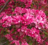 c6dd817a-be07-11f0-891d-246e9611e8f7-1