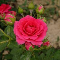 d0edb3ef-3621-11ef-890e-246e9611e8f7-1