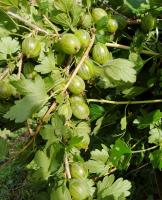 ac2a963c-20d8-11f0-8918-246e9611e8f6-1