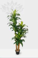 d2ddfd9b-caa6-11f0-891e-246e9611e8f6-1