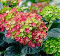 60ed447d-c478-11f0-891d-246e9611e8f7-1