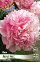 294e89b1-6e17-11ec-8bcd-005056c00008-1