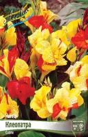 232c719e-fa91-11dd-868a-0019dbe91ea3-1