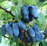 9b910cec-b8ae-11f0-891d-246e9611e8f7-1