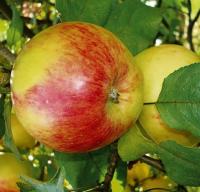 b8d220dd-bb06-11f0-891d-246e9611e8f7-1