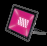 2daad62a-c261-11ed-ae56-001e673ebdea-1