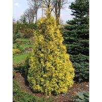 2a75234f-2bcf-11f0-8918-246e9611e8f6-1