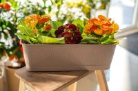 9404daba-55c6-11f0-891a-246e9611e8f6-1