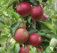 7e4f4a5c-bb9a-11f0-891d-246e9611e8f7-1