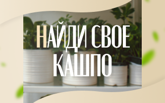 Важность пропорций: как выбрать кашпо, отвечающее потребностям растения.