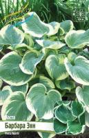 35fecae7-3643-11eb-b90a-005056c00008-1