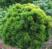 dfad6f3e-d50e-11f0-891e-246e9611e8f6-1