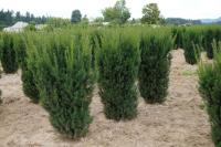 c366ac91-dd17-11ed-97e3-001e673ebdea-1