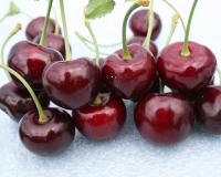 черешнч Оленька