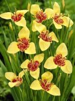 6ee7b25b-b44e-11ee-8bd7-001e673ebdea-1