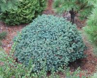 bfa25ca4-d036-11f0-891e-246e9611e8f6-1