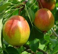 26834c00-be13-11f0-891d-246e9611e8f7-1