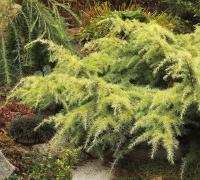 9073cda5-d1b8-11f0-891e-246e9611e8f6-1