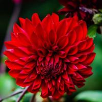 72e1276a-e787-11e5-9ba7-001e673ebdea-1