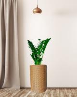 120ec126-df0e-11f0-891e-246e9611e8f6-1