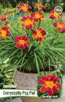 70458235-3640-11eb-b90a-005056c00008-1