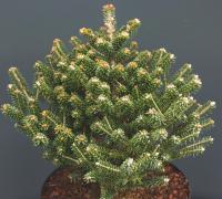 5fd1670e-d4d9-11f0-891e-246e9611e8f6-1