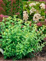 d66f1716-1136-11f0-8918-246e9611e8f6-1