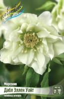 2ae3eff8-65b8-11ed-bd4c-001e673ebdea-1