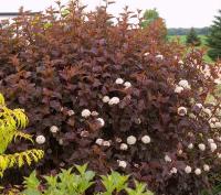 162c333e-4028-11ef-8910-246e9611e8f6-1