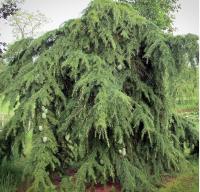 5ff266a7-d1bb-11f0-891e-246e9611e8f6-1