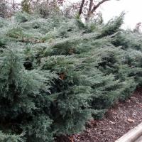 ffc2297b-3c96-11e8-8910-005056c00008-1