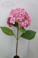 146e718a-5a6d-11f0-891b-246e9611e8f7-1