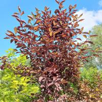 306cc85a-1533-11f0-8918-246e9611e8f6-1